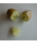 CITRON CAVIAR a fruit jaune / Microcitrus 