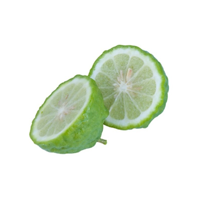 COMBAVA / Citrus hystrix