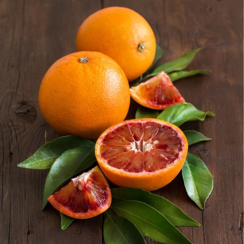 CLEMENTINIER SANGUIN | Mon Orangerie