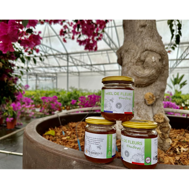 Miel de printemps | Mon Orangerie