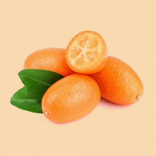 Kumquatiers