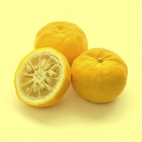 Yuzu et agrumes du levant