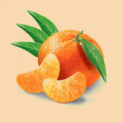 Mandarinier et clémentinier