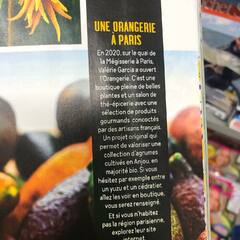 Bel article dans le dossier spécial agrumes du magazine #silencecapousse
🙏🏻
@silencecapoussechezvous #agrumes #agrumi #plants #plantes #oranges #citrons #presse #articledepresse @valerie_grc