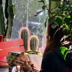 Moment de calme au salon de thé. Une cliente dessine nos cactus 
.
.
.
#drawing #draw #drawthisinyourstyle #cactus #cactuslover #tearoom #tearoomparis #colors #moment #shop #paris #parisgourmet #placetobe #parisienne #pictoftheday
